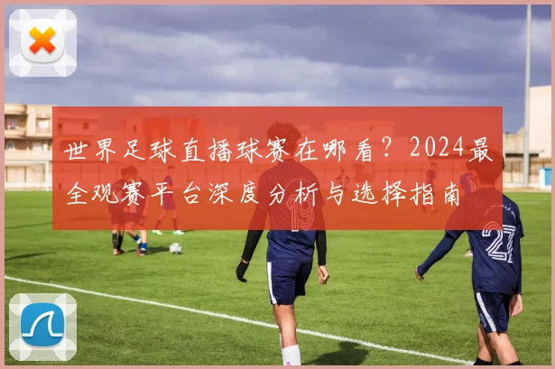世界足球直播球赛在哪看？2024最全观赛平台深度分析与选择指南