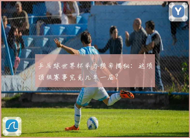乒乓球世界杯举办频率揭秘:这项顶级赛事究竟几年一届?