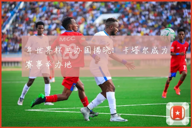 年世界杯主办国揭晓：卡塔尔成为赛事举办地