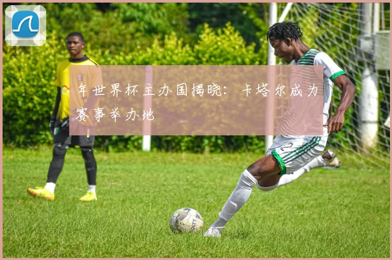 年世界杯主办国揭晓：卡塔尔成为赛事举办地