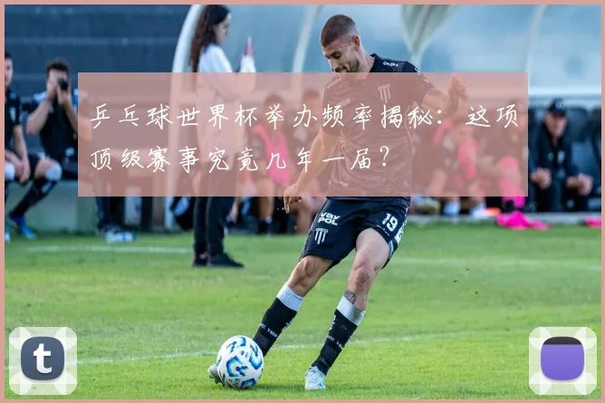 乒乓球世界杯举办频率揭秘：这项顶级赛事究竟几年一届？